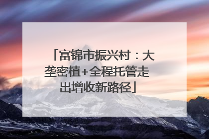 富锦市振兴村：大垄密植+全程托管走出增收新路径