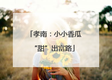 孝南：小小香瓜 “甜”出富路