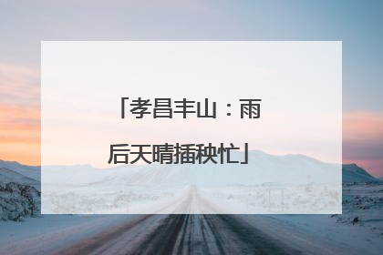 孝昌丰山：雨后天晴插秧忙