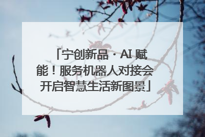 宁创新品・AI 赋能！服务机器人对接会开启智慧生活新图景