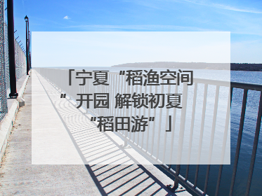 宁夏“稻渔空间”开园 解锁初夏“稻田游”
