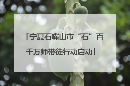 宁夏石嘴山市“石”百千万师带徒行动启动