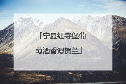 宁夏红寺堡葡萄酒香漫贺兰