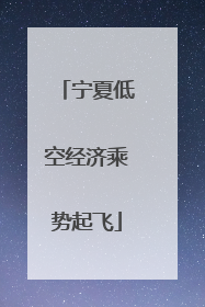 宁夏低空经济乘势起飞