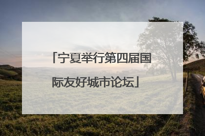 宁夏举行第四届国际友好城市论坛