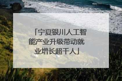 宁夏银川人工智能产业升级带动就业增长超千人