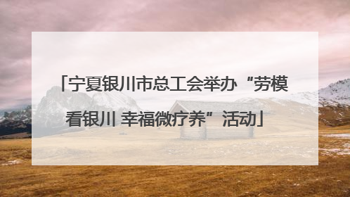 宁夏银川市总工会举办“劳模看银川 幸福微疗养”活动