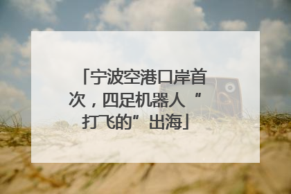 宁波空港口岸首次，四足机器人“打飞的”出海