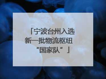 宁波台州入选新一批物流枢纽“国家队”