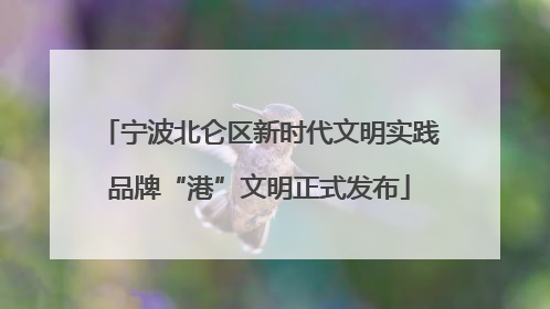 宁波北仑区新时代文明实践品牌“港”文明正式发布