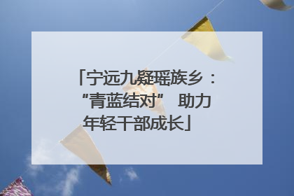 宁远九疑瑶族乡：“青蓝结对” 助力年轻干部成长