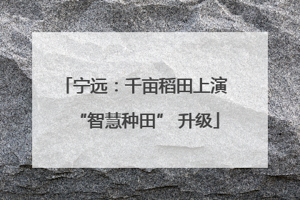 宁远：千亩稻田上演 “智慧种田” 升级