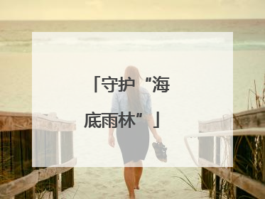 守护“海底雨林”