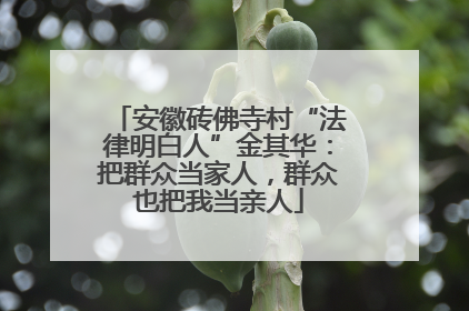 安徽砖佛寺村“法律明白人”金其华：把群众当家人，群众也把我当亲人