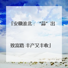 安徽淮北：“蒜”出致富路 丰产又丰收