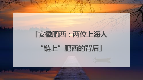 安徽肥西：两位上海人“链上”肥西的背后
