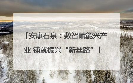 安康石泉：数智赋能兴产业 铺就振兴“新丝路”