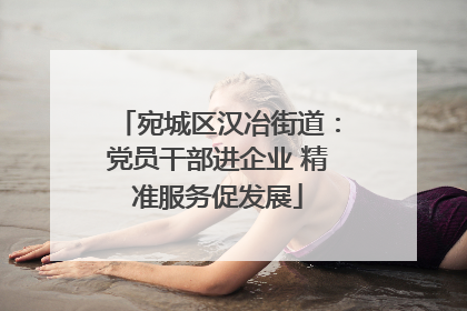 宛城区汉冶街道：党员干部进企业 精准服务促发展