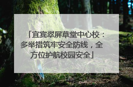 宜宾翠屏草堂中心校：多举措筑牢安全防线，全方位护航校园安全