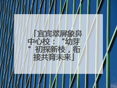 宜宾翠屏象鼻中心校：“幼芽”初探新枝，衔接共育未来