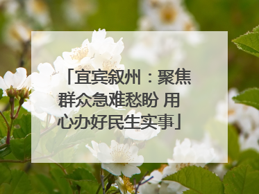 宜宾叙州：聚焦群众急难愁盼 用心办好民生实事
