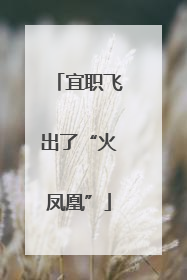 宜职飞出了“火凤凰”