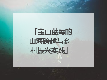 宝山蓝莓的山海跨越与乡村振兴实践