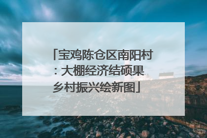 宝鸡陈仓区南阳村：大棚经济结硕果 乡村振兴绘新图