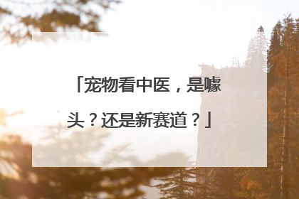 宠物看中医，是噱头？还是新赛道？