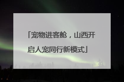 宠物进客舱，山西开启人宠同行新模式