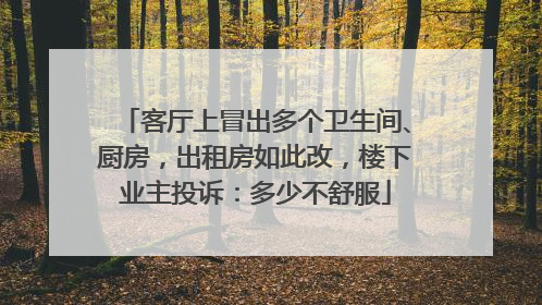 客厅上冒出多个卫生间、厨房，出租房如此改，楼下业主投诉：多少不舒服