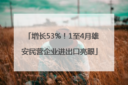 增长53%！1至4月雄安民营企业进出口亮眼