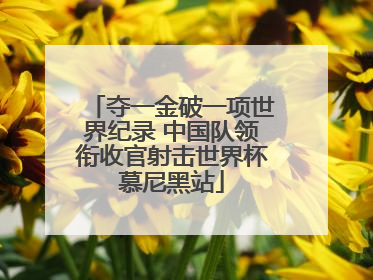 夺一金破一项世界纪录 中国队领衔收官射击世界杯慕尼黑站