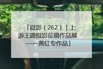夏影（262）｜上游主题摄影征稿作品展——黄红专作品
