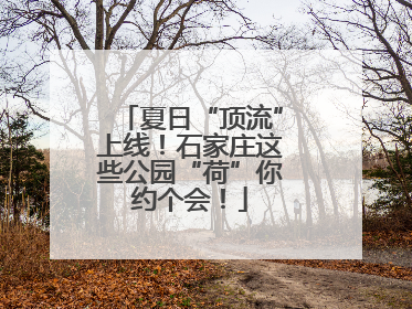 夏日“顶流”上线！石家庄这些公园“荷”你约个会！