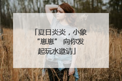 夏日炎炎，小象“崽崽” 向你发起玩水邀请