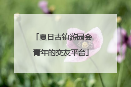 夏日古镇游园会 青年的交友平台