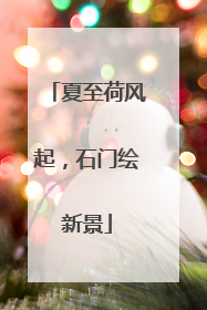 夏至荷风起，石门绘新景