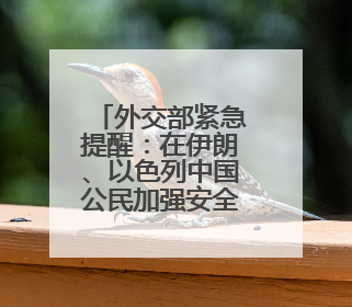 外交部紧急提醒：在伊朗、以色列中国公民加强安全防范