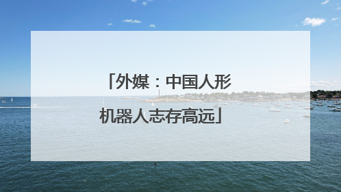 外媒：中国人形机器人志存高远