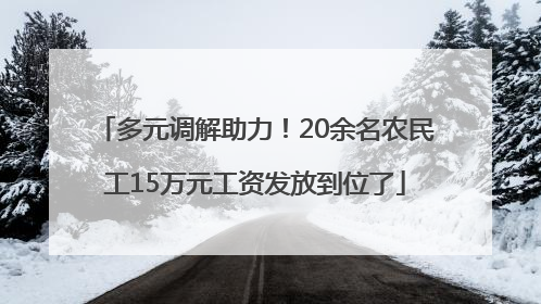 多元调解助力！20余名农民工15万元工资发放到位了