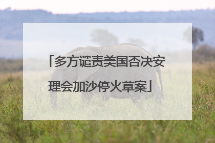 多方谴责美国否决安理会加沙停火草案