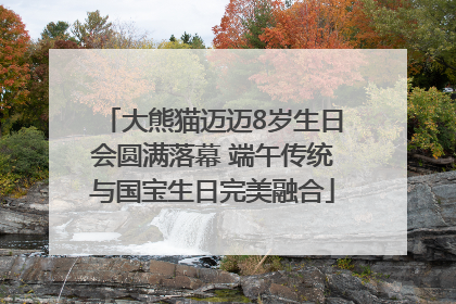 大熊猫迈迈8岁生日会圆满落幕 端午传统与国宝生日完美融合