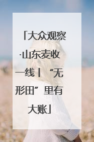大众观察·山东麦收一线丨“无形田”里有大账