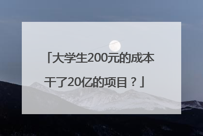大学生200元的成本干了20亿的项目？