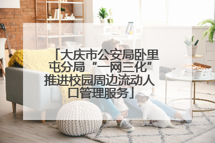 大庆市公安局卧里屯分局“一网三化”推进校园周边流动人口管理服务