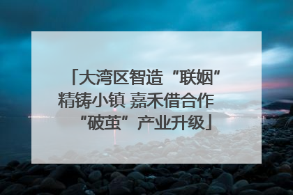大湾区智造“联姻”精铸小镇 嘉禾借合作“破茧”产业升级