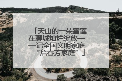 天山的一朵雪莲在聊城灿烂绽放——记全国文明家庭“詹春芳家庭”