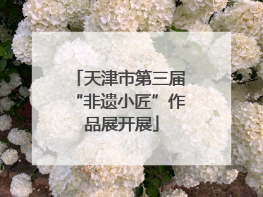 天津市第三届“非遗小匠”作品展开展