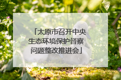 太原市召开中央生态环境保护督察问题整改推进会